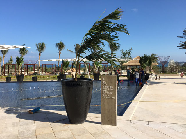 玻璃鋼酒店戶外花盆 玻璃鋼酒店戶外花盆