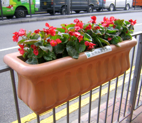 懸掛式景觀花盆 懸掛式景觀花盆