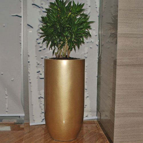 室內(nèi)景觀花缽 室內(nèi)景觀花缽