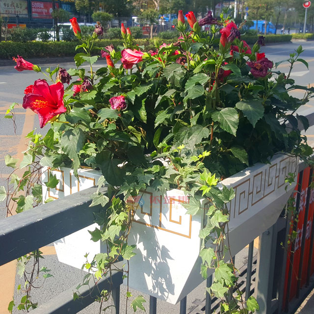 城市道路護(hù)欄景觀花箱 城市道路護(hù)欄景觀花箱
