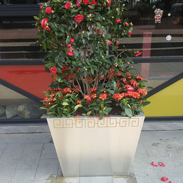 廣場(chǎng)綠化不銹鋼方錐形花盆