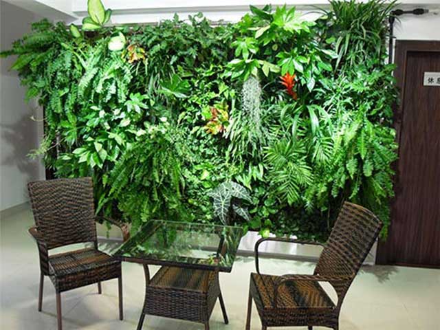 仿真綠植 仿真綠植