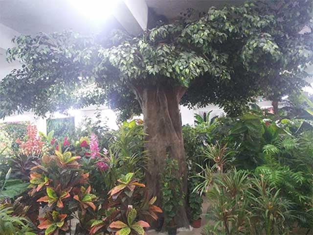 商業(yè)仿真大樹(shù)裝飾 商業(yè)仿真大樹(shù)裝飾