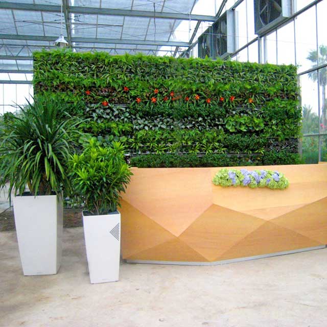 房地產(chǎn)仿真花藤裝飾 房地產(chǎn)仿真花藤裝飾