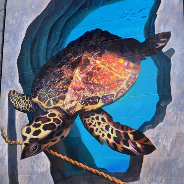 墻繪藝術(shù) 墻繪藝術(shù)